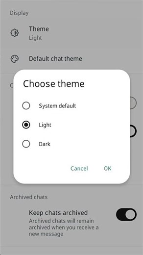How to Change Theme in Whatsapp Business Application