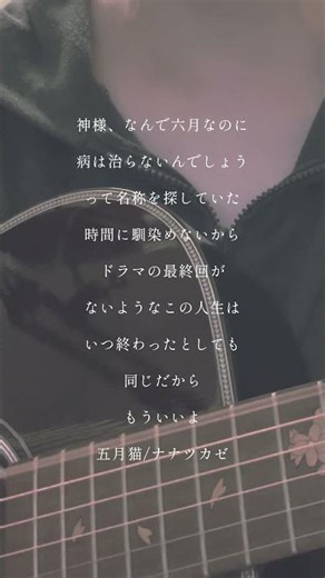 五月猫/ナナツカゼ #弾き語り #歌ってみた #cover #弾き語り女子 #ギター #アコギ