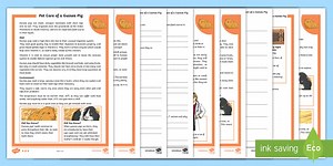 KS2 Pet Care of a Guinea Pig Reading Comprehension Activity