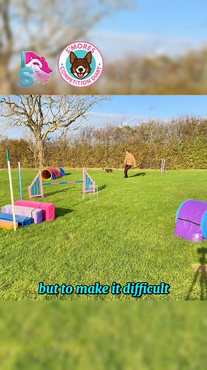 Need to work on your loose turns? Me too! That’s exactly what we’re doing this week in S’mores competition and agility training diaries! Follow along with these simple to set up and easy to follow along training exercises to give your training some direction :) check them out now, remember you can sign up for our trial period for just £1! www.intoshapeagility.com | Into Shape Agility