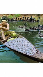 4.7M views · 10K reactions | Found a lots of duck egg duck and cook with coconut water #reels #shorts #cooking #camping #survival #bushcraft #outdoors #primitive #food #recipe | Super Chef | Facebook