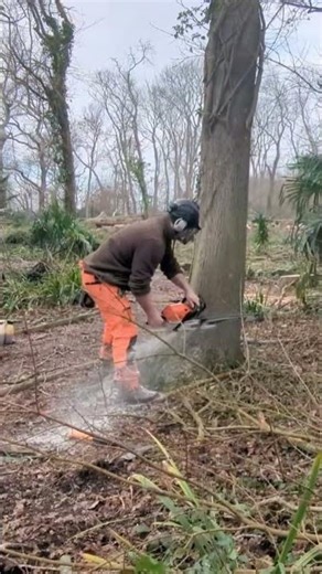 BIG DOGS ARE OVERRATED! 😡