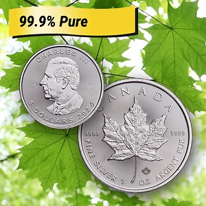 If you collect large silver coins, get ready to add a stunning piece to your collection! Check out Canada’s beautiful 2025 silver Maple Leaf! | Littleton Coin Company