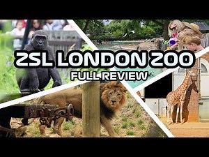ZSL London Zoo FULL REVIEW