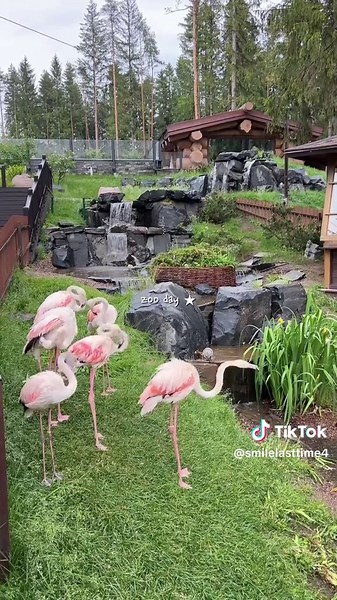 Zoo Day Vlog: Cute Animals and Fun Moments