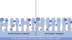 We do many things to live more comfortably in our homes. Now, there’s carpet that can help. | STAINMASTER