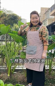 2.5M views · 56K reactions | my taro harvest has been good. Today I will share with you three ways to make taro. #cooking #cookingtime #countryside | Tasty Life | Facebook