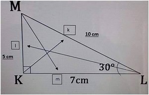 Les triangles rectangles