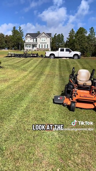 Exciting New Mower for Lawn Care Enthusiasts