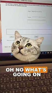 PTE Write From Dictation Timing Hack (Most Students MISS THIS!) #ptewritefromdictation