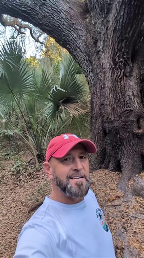 Port St Lucie FL Devil's tree #devilstree #haunt #paranormal #serialkiller #portstlucie