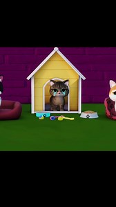 मामी को चोर दो ना #comedy #comedyvideo #funny #desicomedy #comedycartoon #cutecat Part 1 | Comedy Toon