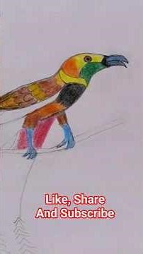 How To Draw A Bird of Paradise|#short #birddrawing