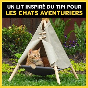 308K views · 3.5K reactions | Oubliez le traditionnel panier ! Voici...