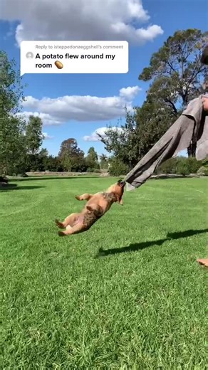 Winnie & April on TikTok