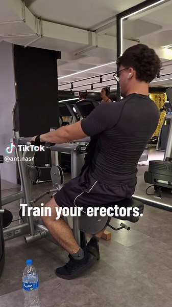 Essential Tips to Train Your Erector Muscles
