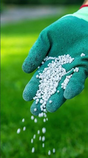 Prep Your Lawn for Spring