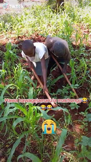 comedian kay 6 (@comediankay6)’s videos with original sound - comedian kay 6