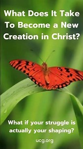 What Is The Biblical Process Of Transformation?