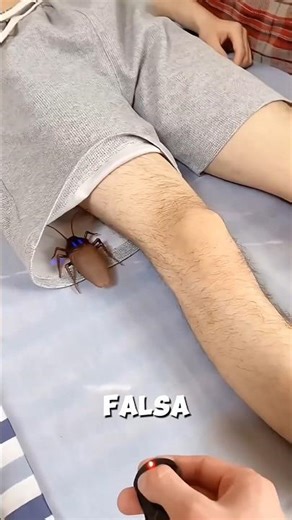 “The Cockroach Prank Gone Wrong 😱🪳”#shorts