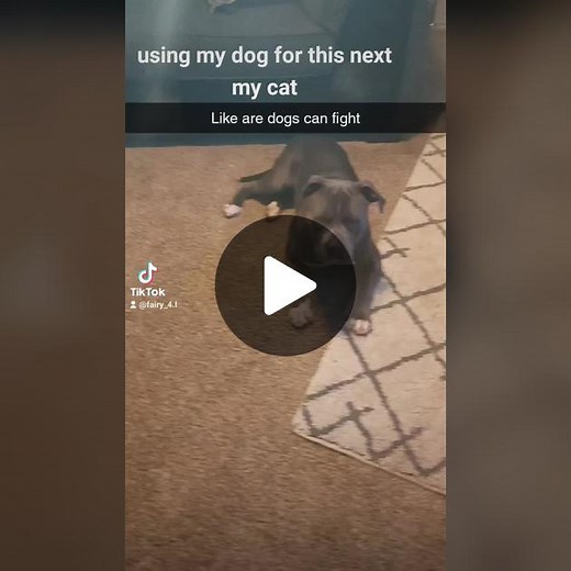 TikTok · Radom edits