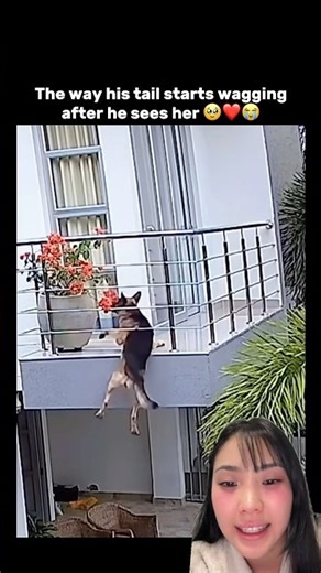 Por POCO NO se SALVA 😭