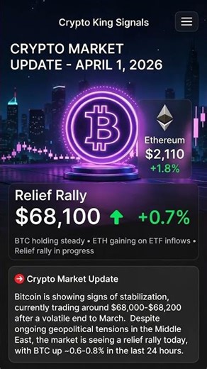 Crypto Market Update