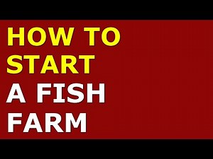 How to Start a Fish Farming Business | Free Fish Farming Business Plan Included