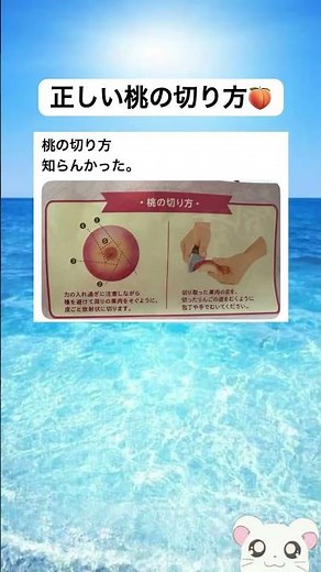 正しい桃の切り方