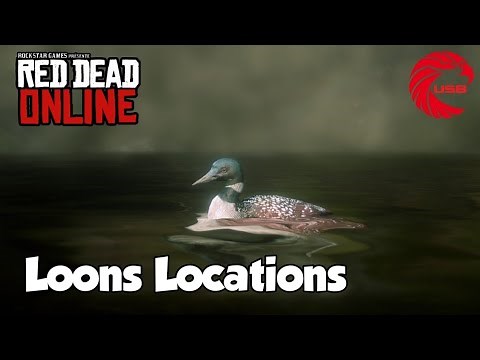 Loons Locations rdr2 Online - Red Dead Online Loons Location Guide