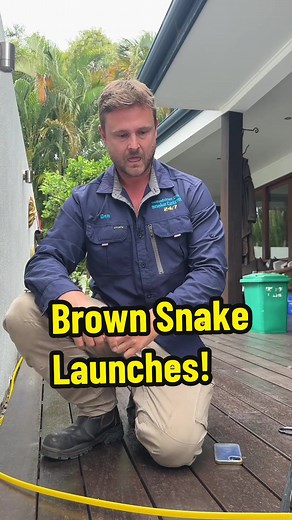 Stuart McKenzie on TikTok