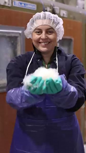 15 reactions | On today's Duck University we'll explore how we process duck feathers for Down, inc. Down, inc. is a company based in Grand Rapids, MI that manufactures down pillows, down comforters and more! Keep watching to find out more. 襁 | Maple Leaf Farms | Facebook