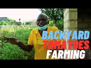 Teacher Shows Off Amazing Backyard Tomato Farm That Feeds His Family