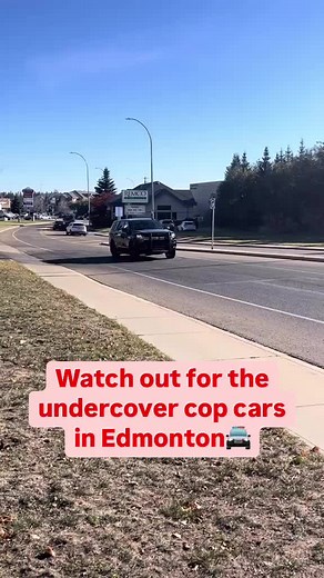 There are so many undercover cop cars in Edmonton🤨 Credit: @alberta_emergency #NMG #NMGedmonton #edmonton #yeg #reddeer #lethbridge #airdrie #alberta #canada