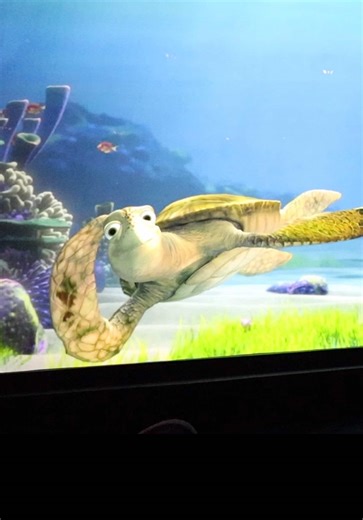 Impressions with Crush: Tips and Fun Voice Acting