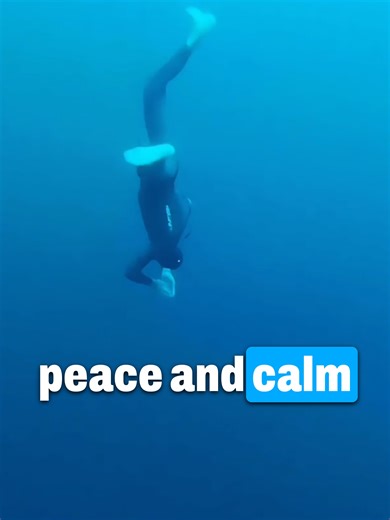 Gert Leroy Underwater บน TikTok