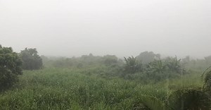 Video by Jyoti  Pur on Pexels