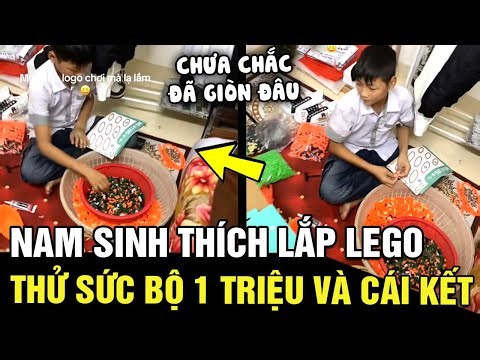 Hearing his nephew say he liked building with Lego, the uncle immediately bought a Lego fox set t...