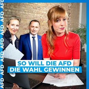 Das AfD-Wahlprogramm in unter zehn Minuten. 👇 | Deutschland3000