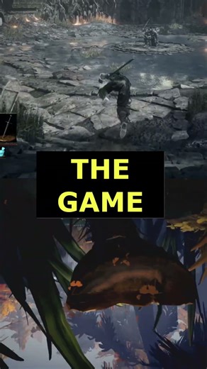 My Game is Dark Souls Rolls