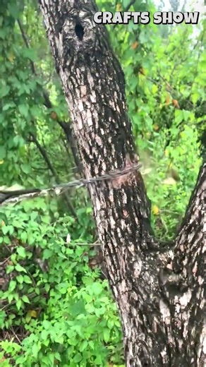 Pocket Chainsaw Bicycle Chain Mod