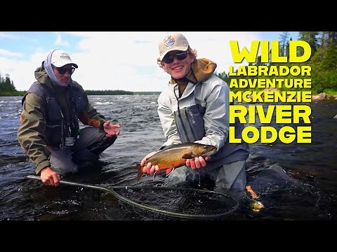 Wild Labrador Adventure at McKenzie River Lodge