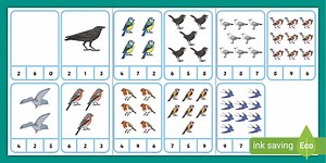 British Birds Number Recognition to 10 Peg Activity