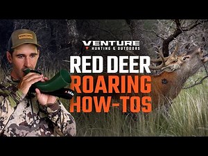 Red Deer Roaring How-to | Red Deer Hunting Tactics With Twin Elements & Venture Hunting