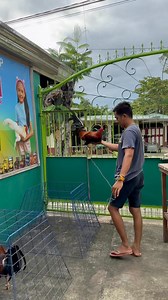 173K views · 3.6K reactions | Ano daw po ba ang gamit natin pag maghahanda sa exam#besjoreng #muntinghandler #dadinibes #besjorengdailyvlogs #noanimalswereharmedinthisvideo #noharmfulcontentsinthisvideo #backyardbreeder #ForEducationalPurposesOnly #jdfam #HindiCOOLangpagBATTLECOCK #SABATTLECOCKLAGIKANGLAMANG #jdfam #besjorengdailyvlogs #vitminpro357 #vitminpro #premoxil #sulparqr | JD Fam 2 | Facebook