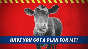 45K views | Have you got an evacuation plan? | Fire and Emergency NZ | Facebook