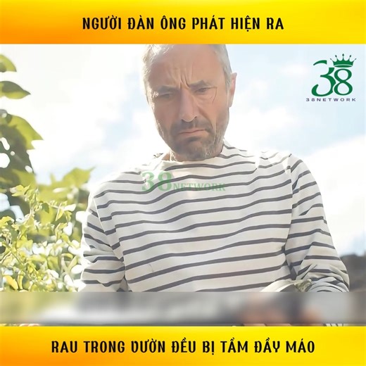 Người đàn ông phát hiện ra rau trong vườn đều bị tẩm đầy máo ©️ Nội dung được sản xuất bởi 38 Network #review #reviewphimhay #reviewphimhanhdong #reviewphimhaynhat #hanhdong #38network | T Studio Funny