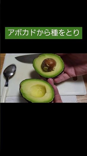 A foolproof method for growing avocados hydroponically in just 1 minute #avocado #hydroponics #av...