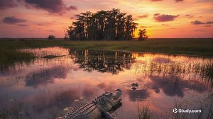 You must c C reate an account to continue watching