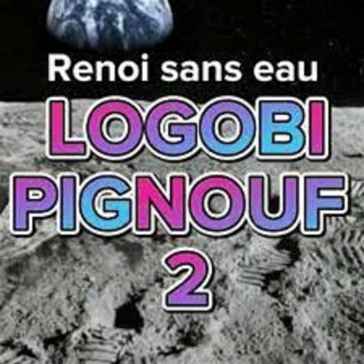Logobi Pignouf 2 Instrumental